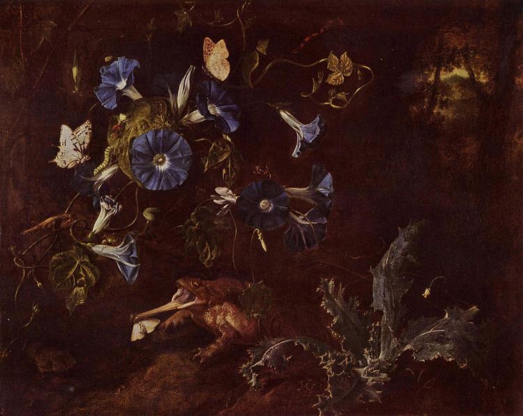 SCHRIECK, Otto Marseus van Blaue Winde Kroe und Insekten oil painting image